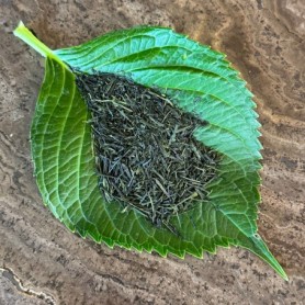 Tè verde Biologico Sencha Kaori 50 gr