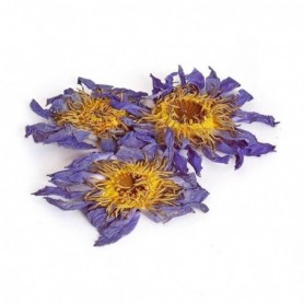 Fiore di Loto Blu Essicato - 3 pezzi