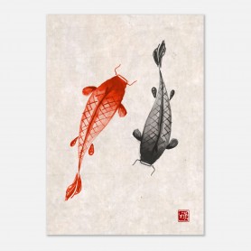 Poster carpe koi stampa Nishikigoi