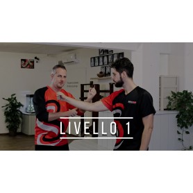 Wing Chun - Livello 1 (Corso online)