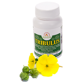 TRIBULUS: antiossidante con azione di sostegno del benessere riproduttivo maschile