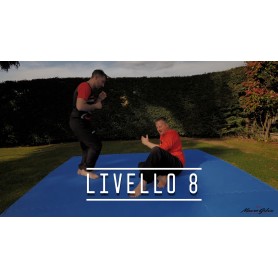 Wing Chun - Livello 8 (Corso online)