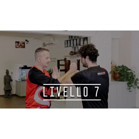Wing Chun - Livello 7 (Corso online)