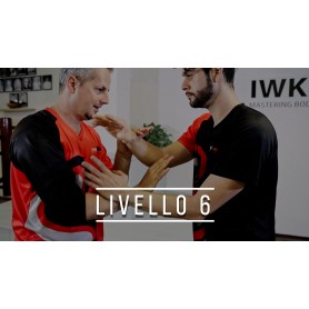 Wing Chun - Livello 6 (Corso online)