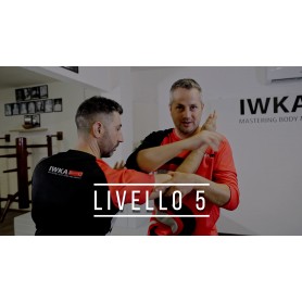 Wing Chun - Livello 5 (Corso online)