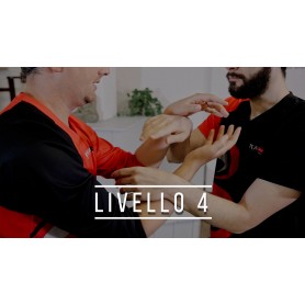 Wing Chun - Livello 4 (Corso online)