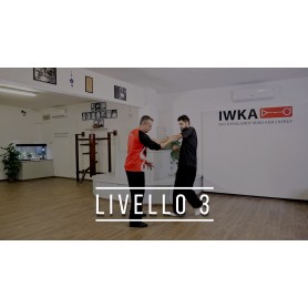 Wing Chun - Livello 3 (Corso online)