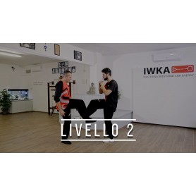 Wing Chun - Livello 2 (Corso online)