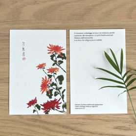 Cartolina 10x15cm Crisantemo