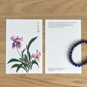 Cartolina 10x15cm Iris