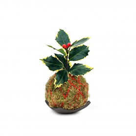 Kokedama bacche natalizie - Legatura in Yuta rossa - Base in terracotta marrone